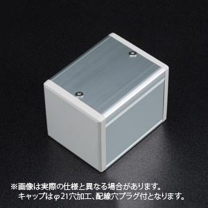 SBOX-80x80(D)ボックスのみ-穴ナシ/L=316(1点キャップ+サポートブラケット)