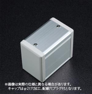 SBOX-45x65(D)ボックスのみ-穴ナシ/L=130(1点キャップ)